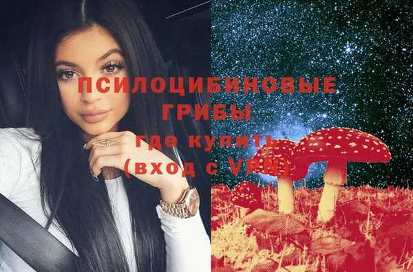 стаф Аркадак