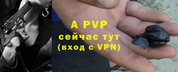 СК Арсеньев