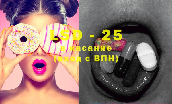 стаф Аркадак