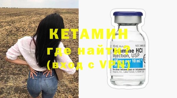 стаф Аркадак